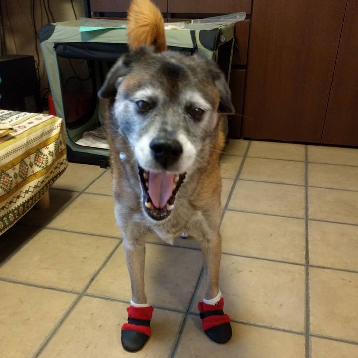 B6f559c7 1c92 49d8 888f 764dbaa34593 1542066062081