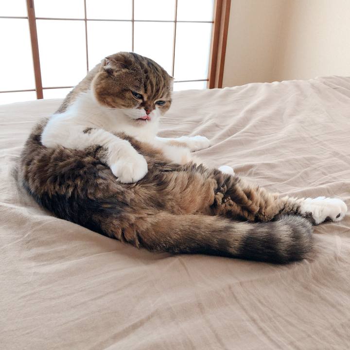 B6f56135 e26d 4b8c 817c 9174599e339a 1566363705671