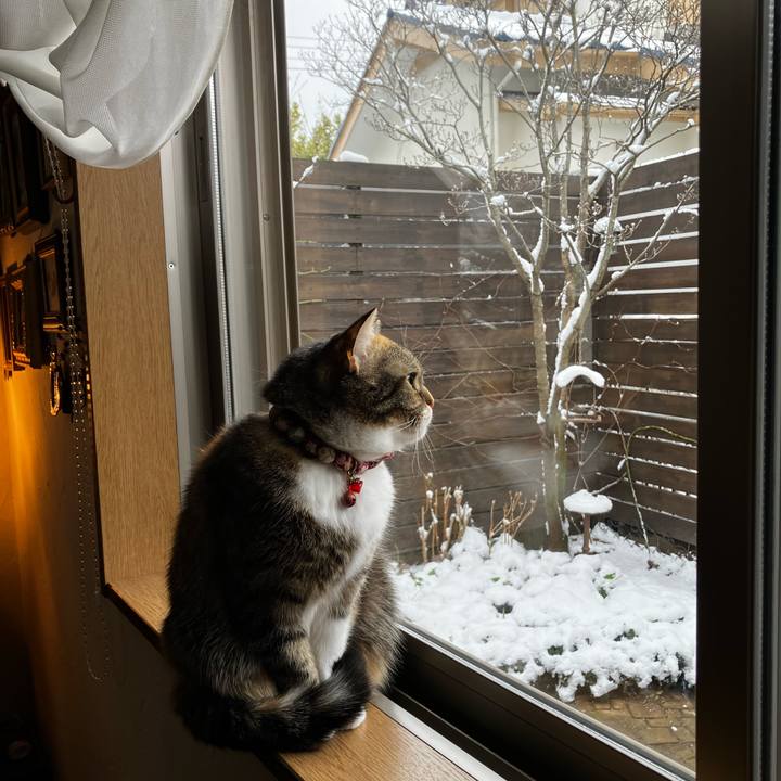 B6f57eb7 e05b 45a4 b1d2 98d92d313e83 1770526383469