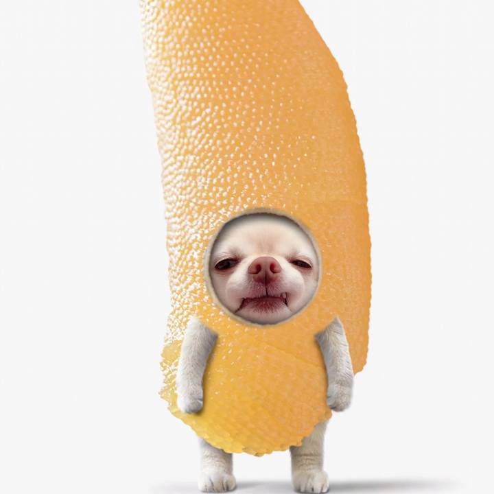 B6f57ff3 e5ca 4f06 ae61 c68131f80d4e 1734493499101