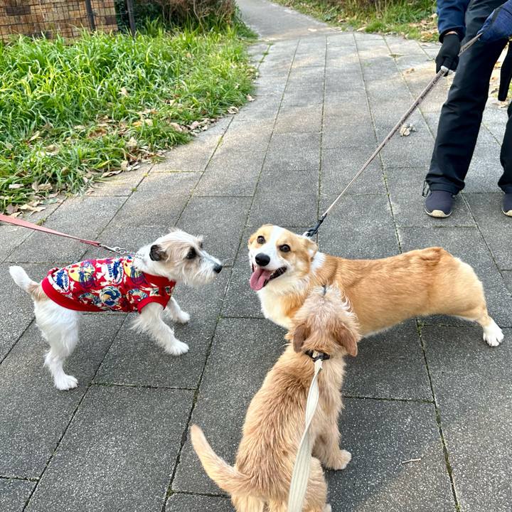 B6f5a5d6 f806 4ed5 88d1 a355bfab68fd 1710599188844