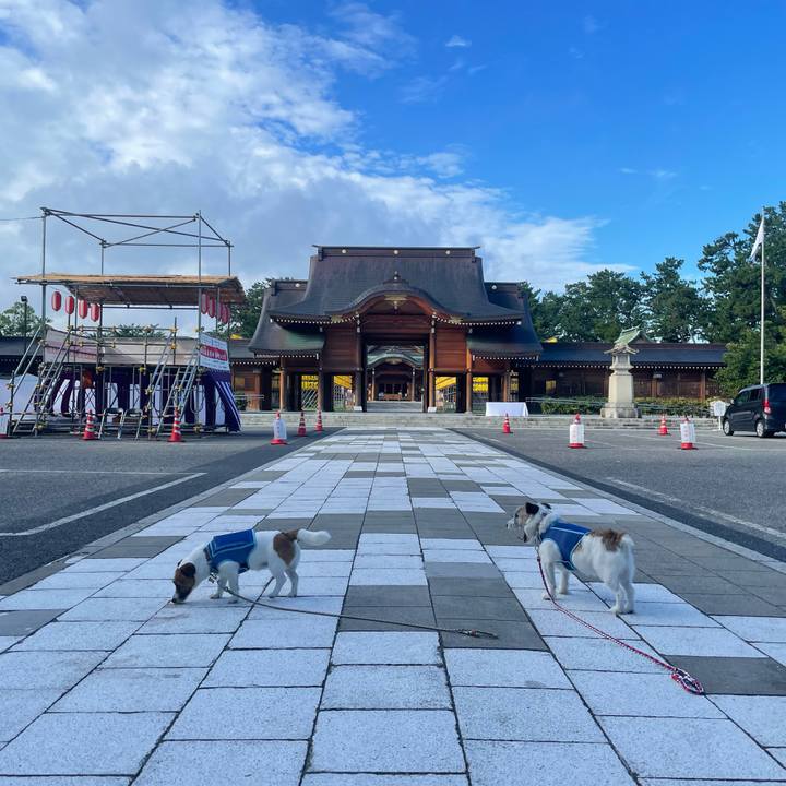 B6f5a7f1 743f 4f45 bc9c 9ebf16f374f0 1723763135279