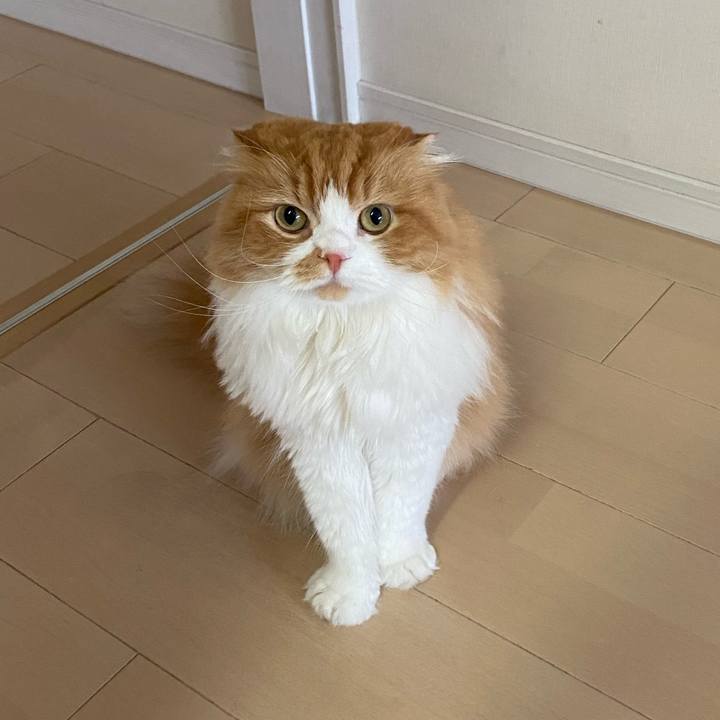 B6f5ad67 cc4e 400e bcfe 8bfb4a315bc1 1628663832662