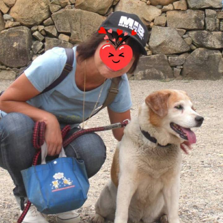 B6f5ecf9 d2bb 4008 91e7 8bd77d5ca948 1605960504049