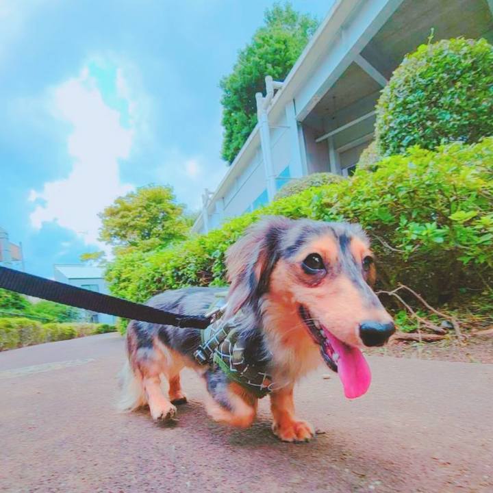 B6f623e5 b117 4967 8be7 d2cbeef191cc 1723433172921