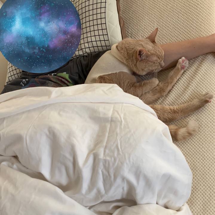 B6f65fab 5fd0 4196 9c9d 1b7264206061 1650487990791