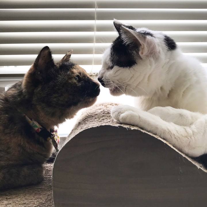 B6f67512 78e0 4756 a1a8 72151e946fea 1532701256864