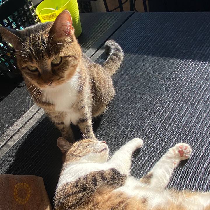 B6f675a9 dadc 4574 a638 6e68f518ec79 1579488640191