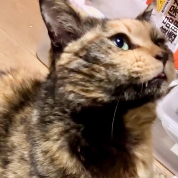 B6f6877c 8729 40f1 afa6 73ca6bb7148e 1740735597459