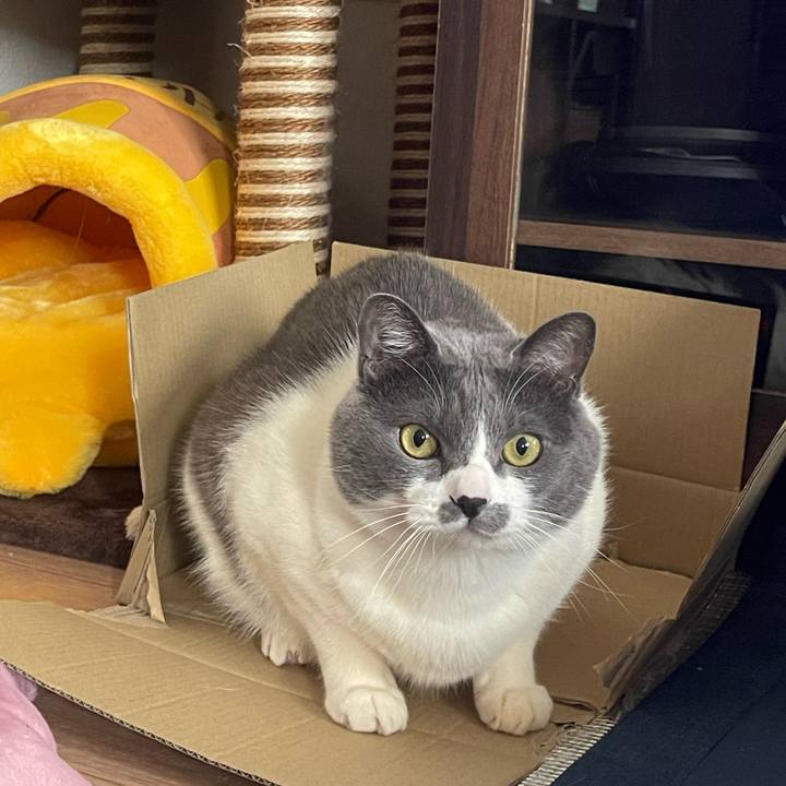 B6f6a549 9927 4329 bc52 fc374dd15a28 1709357456201