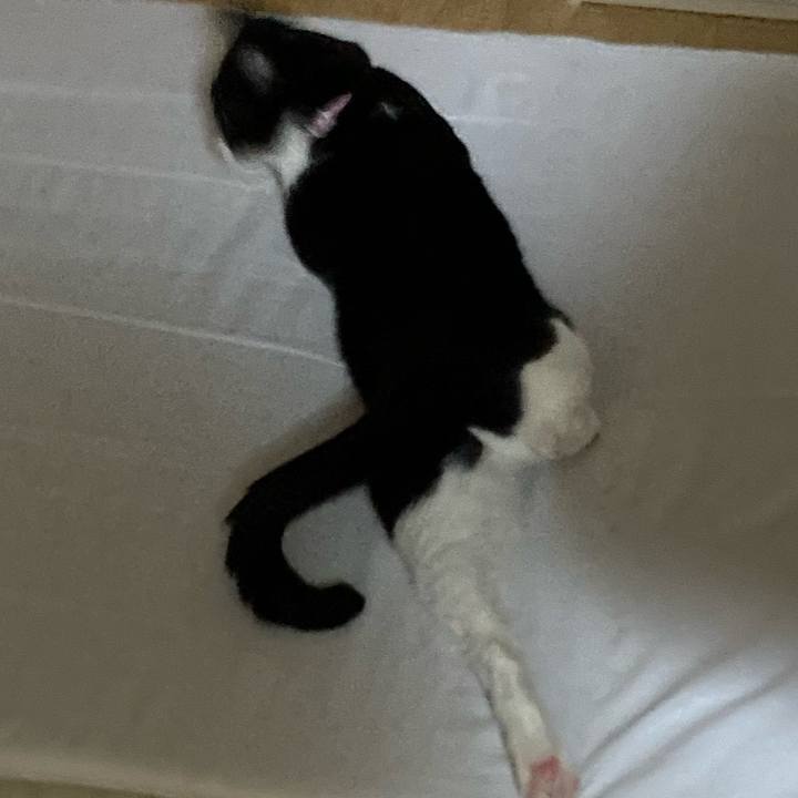 B6f6c9cf 9a52 4177 ad0c d283f9b663ce 1692515948722