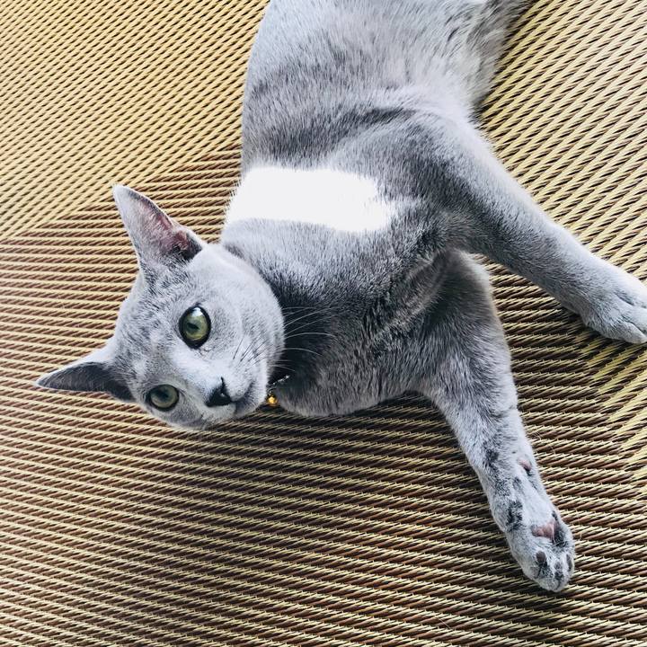 B6f6d53a 13db 4d1e b394 d5ad4c13274a 1515808017614