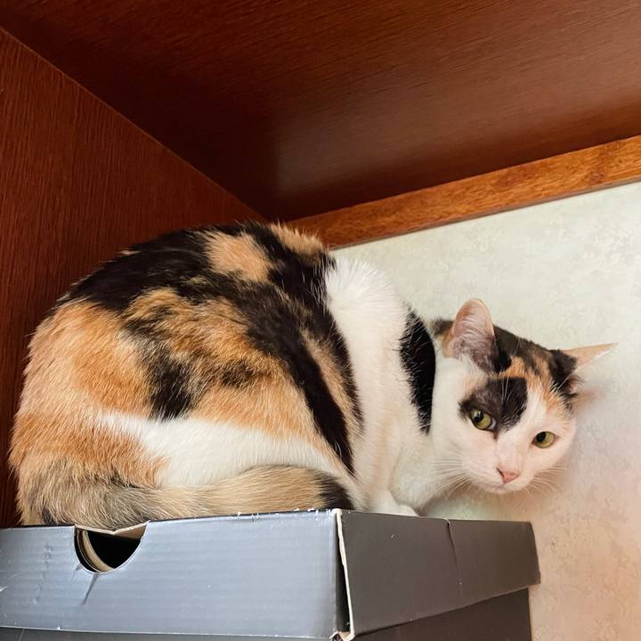 B6f6f65f af2b 4f84 a6db 3137f8aa7c7d 1626230799591