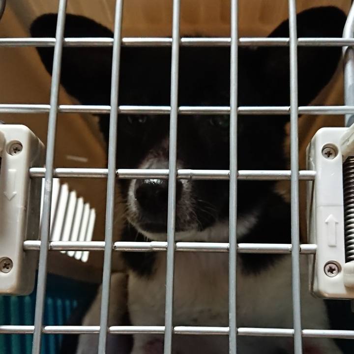 B6f6ff1a 87eb 450e 9566 0c4ef2fdc93b 1523875737651