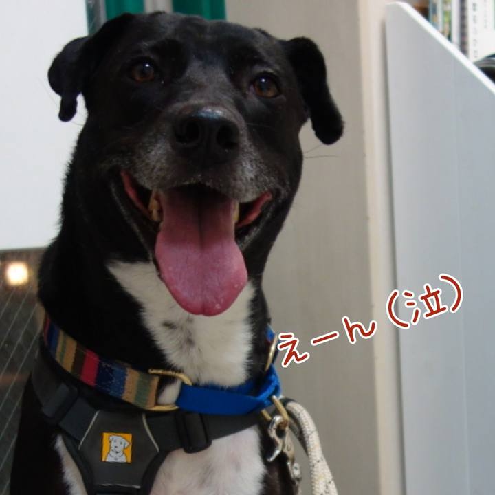 B6f73c55 cb41 4983 b44d c68c5858bae3 1642591143301