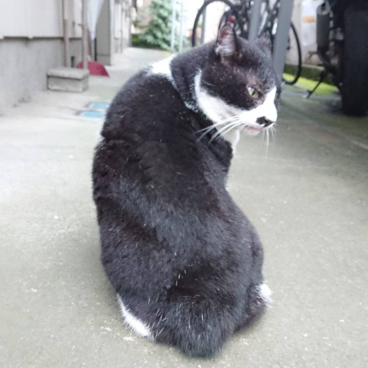 B6f79ec4 bf5d 4e64 bf2c a4fb896dc6f8 1599034104094