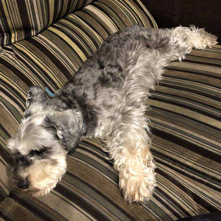 B6f7a20f 76e0 474b afec 0ae143f7753e 1594896777216