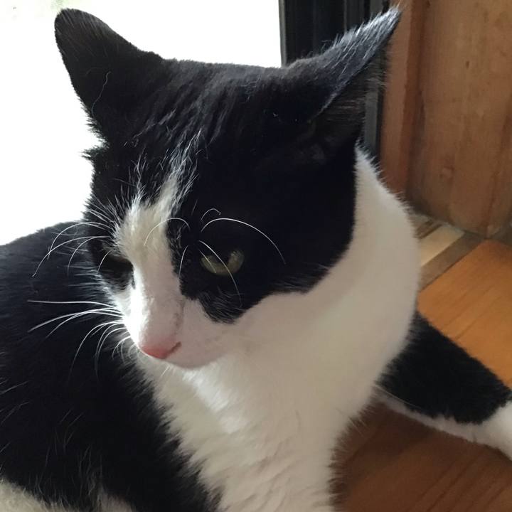 B6f7a969 7b52 4226 8cdf 5b89b73e6afa 1724314559167