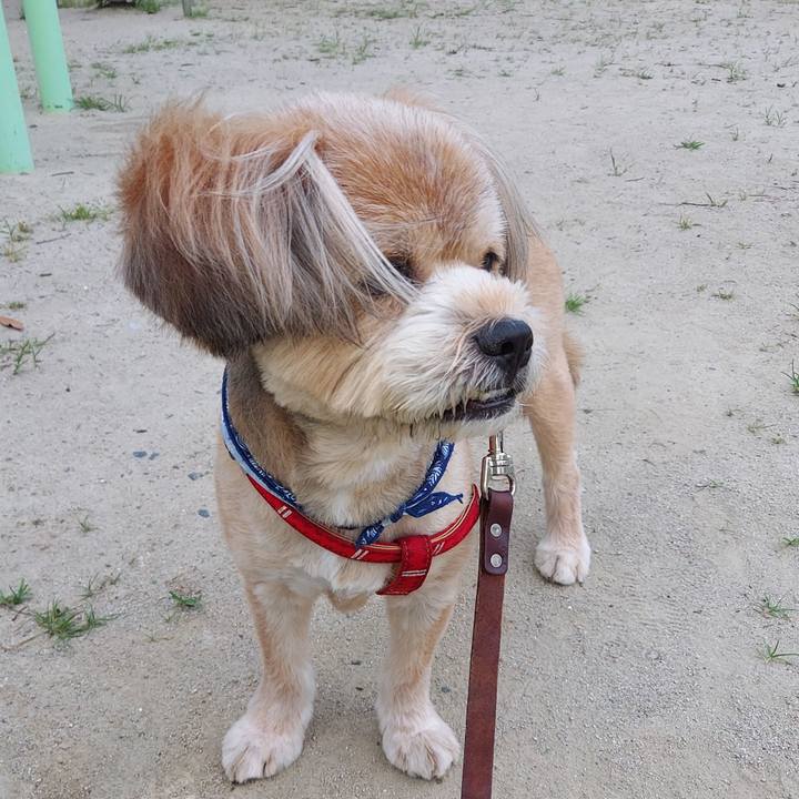 B6f7cd8f 325d 42ce af40 11a987dd8481 1626344254994