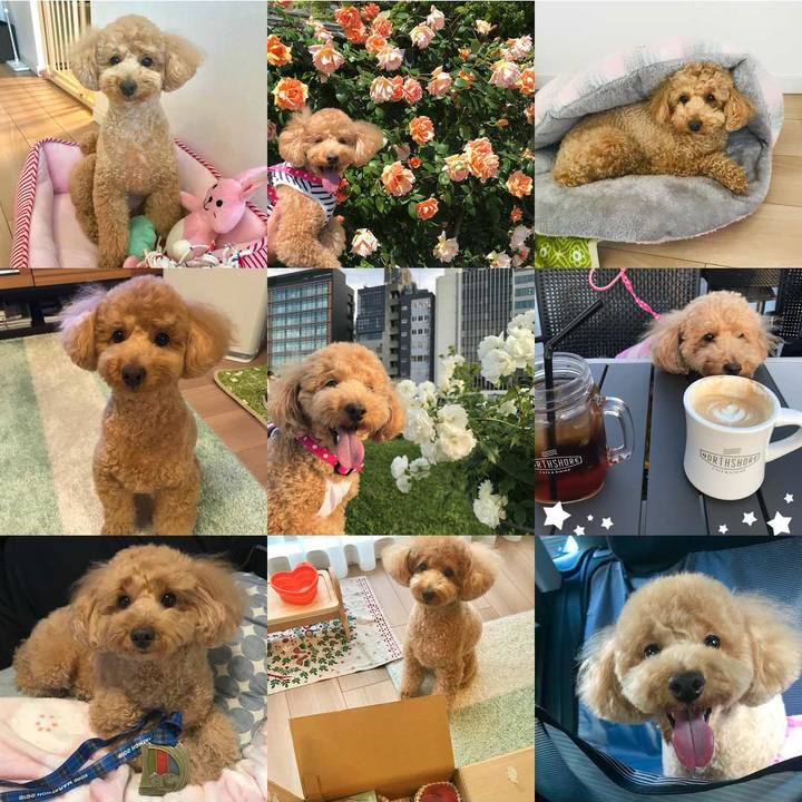 B6f7f4f6 1731 4e7d ac67 13b4e356eb16 1546236651793