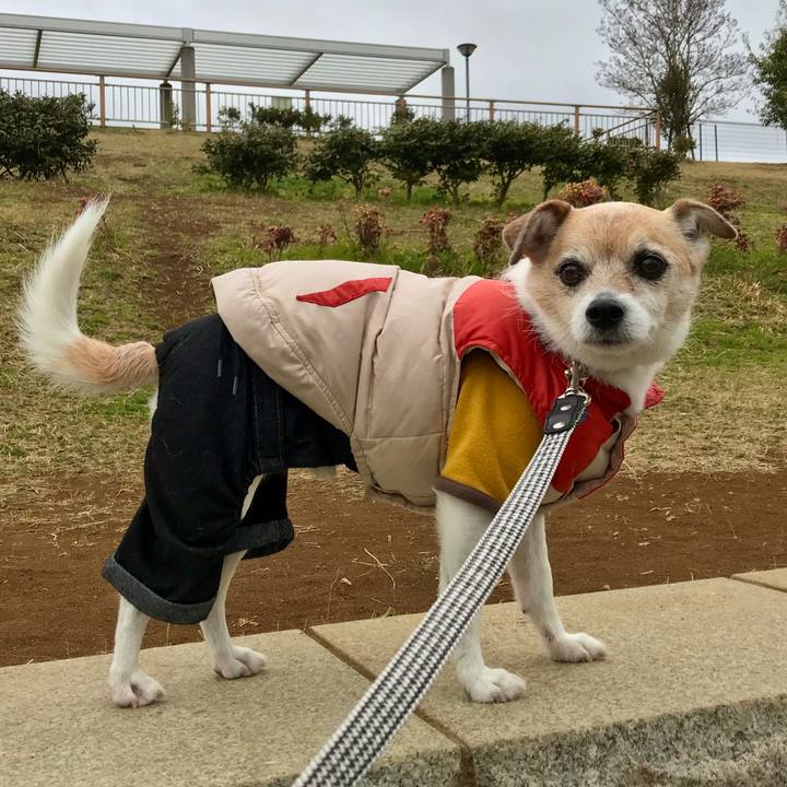 B6f7f726 e6ed 46dc be09 14e760517d25 1647564622217