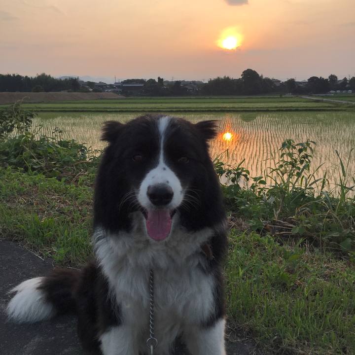 B6f7fd3d 79ea 4c79 bc35 6a8586c84255 1531428883005