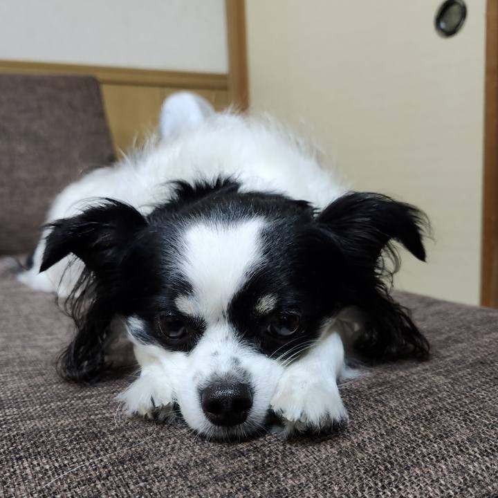 B6f80829 17f6 4cfd 9627 8d1e23576c01 1760484273789