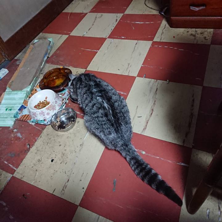 B6f8613d b328 47f4 b6d8 ea915c85cffb 1580888512911