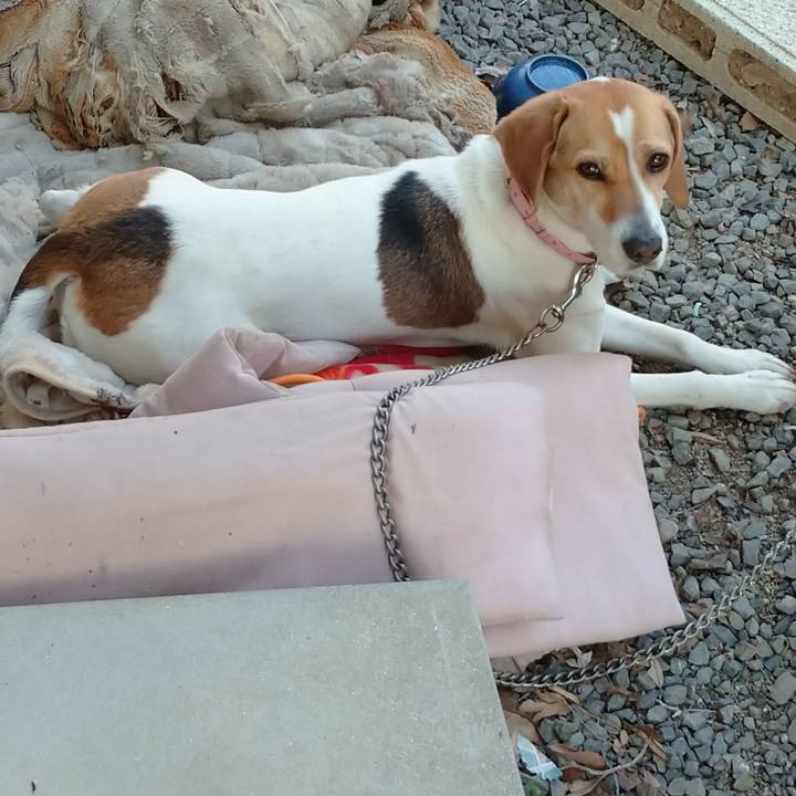 B6f892d0 b10d 4ccf 84dd 5bb56430103f 1586157330353