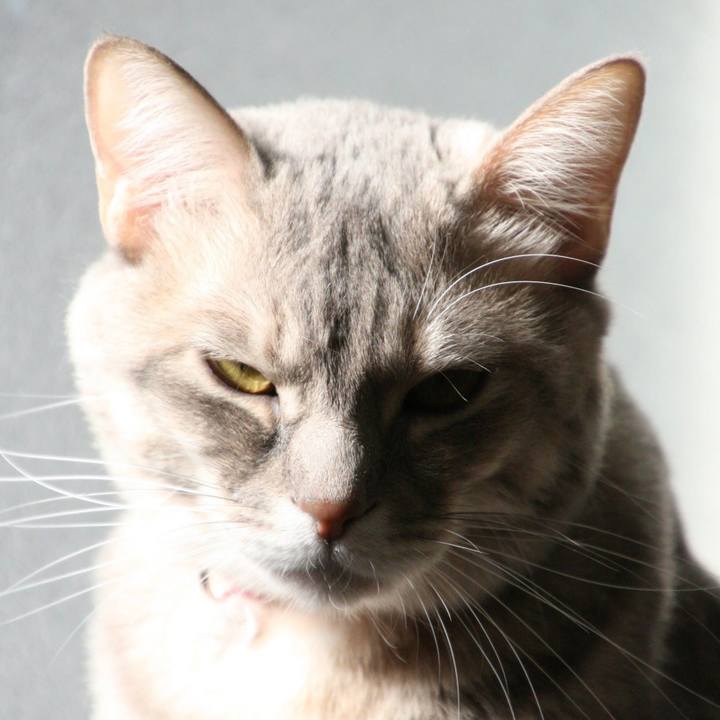 B6f8cdef 0018 4052 92bb 45a738cc4928 1513829113740