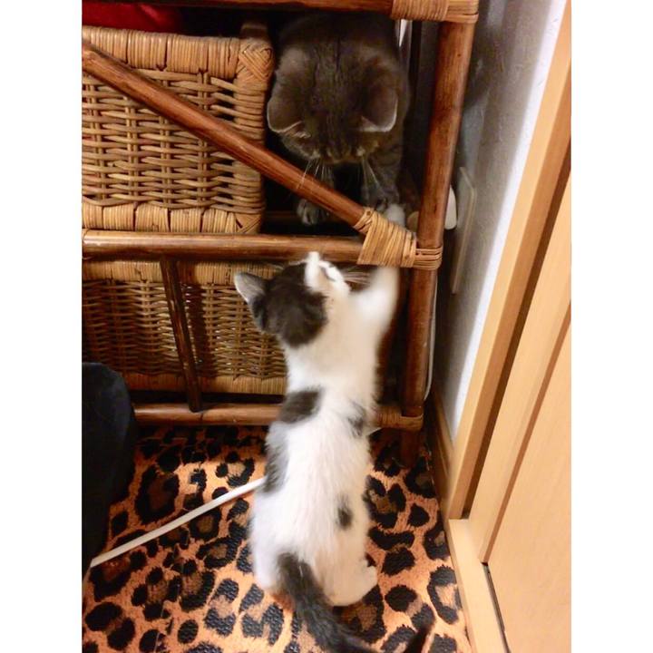 B6f8dbc7 a867 4aa3 8d51 c255337d6051 1529953970251