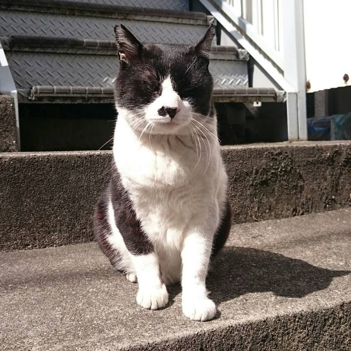 B6f8e84f 4751 46dd 8f49 9f7c6930f628 1520045653383