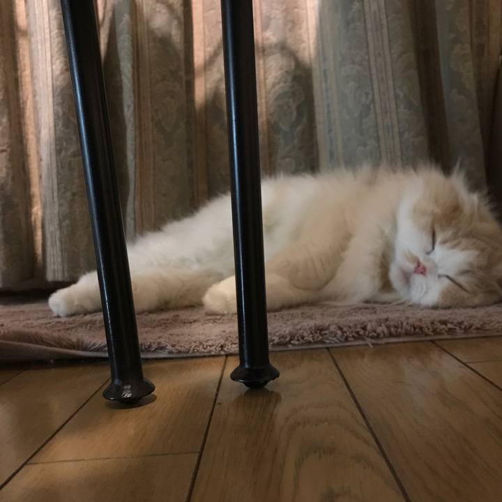 B6f8f9f7 c19c 4998 936b 93ffa8dc46ab 1512915117905