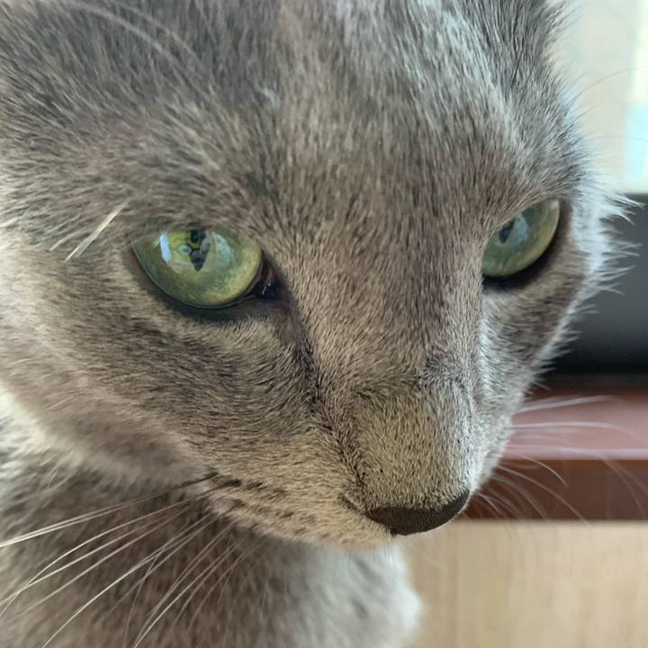 B6f90d17 3711 436e ac0b 86ba27c939ce 1604983605309