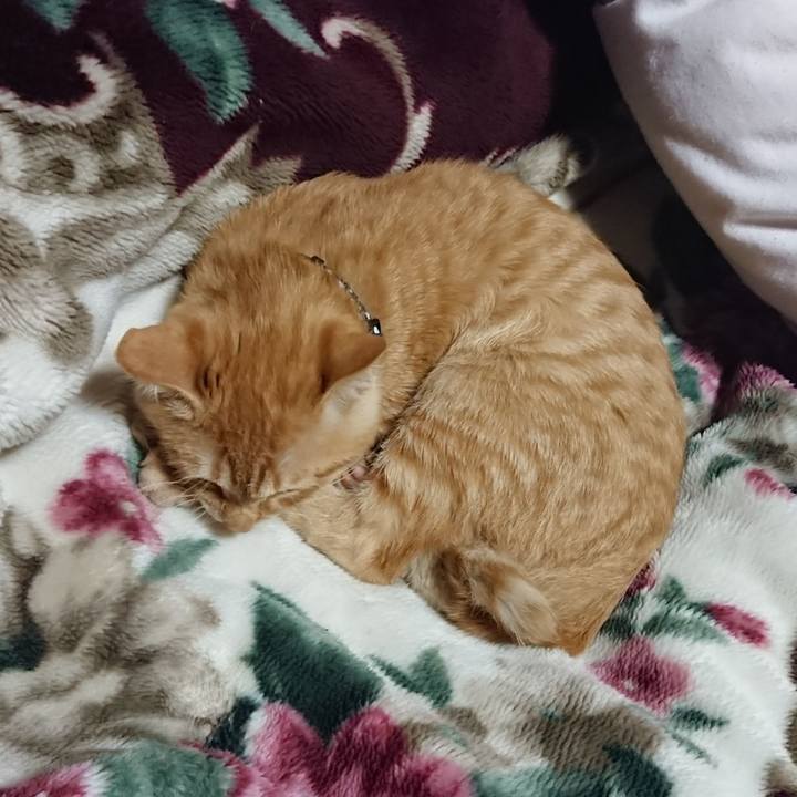 B6f92425 1692 4322 8a90 10f19dff7441 1634386576322