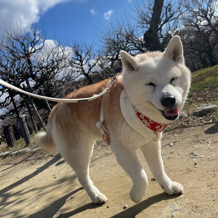 B6f97acb 8f79 4a9c b747 ebde3e073202 1707732930004