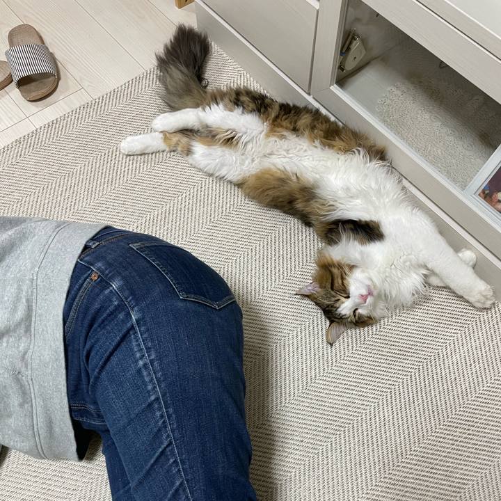 B6f9ac8a 7d3f 46e5 a827 66333a54a412 1650971549025