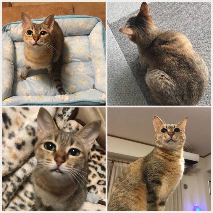 B6f9b10a 6a4a 4f42 a73f 4cc371a666f5 1520431190176