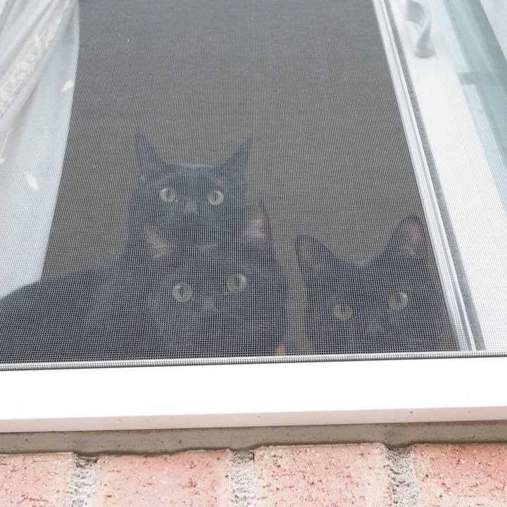 B6f9da7b 419e 48fc 998d 10e00a3608b2 1542066867040