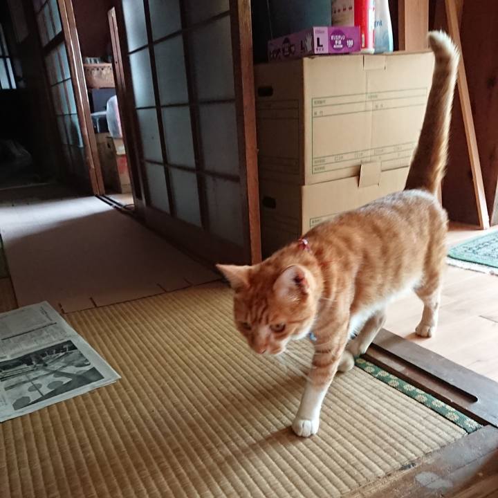 B6f9f15d 898c 46ca 9864 06458e03e9d3 1598142025197