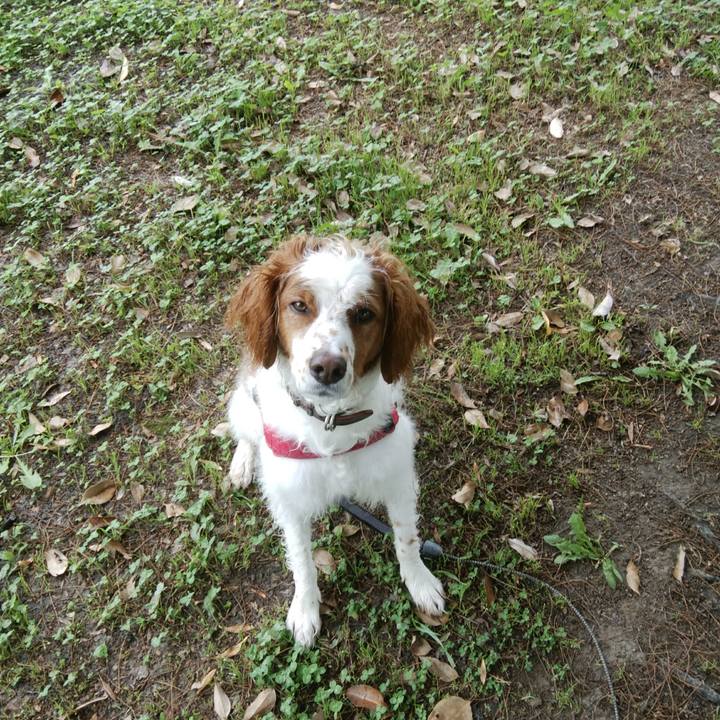 B6fa13db 5112 43f8 a5c3 f32e1f63cb73 1527066331105