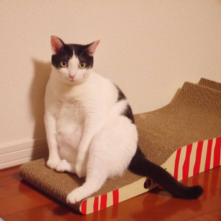 B6fa165a 2a78 4aa8 8a2b 89e1a488ec79 1516938754986