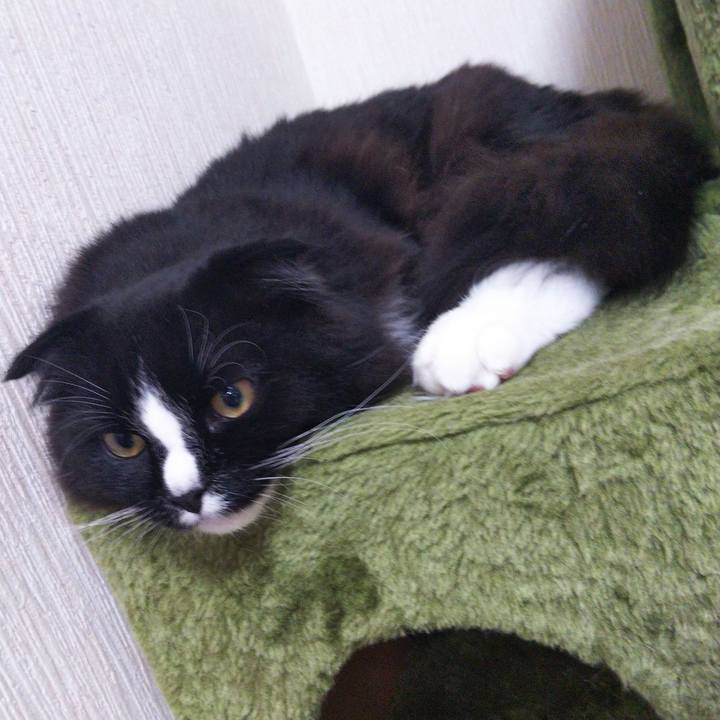 B6fa2dfa f675 4b73 9396 21206def4a6d 1650025056956