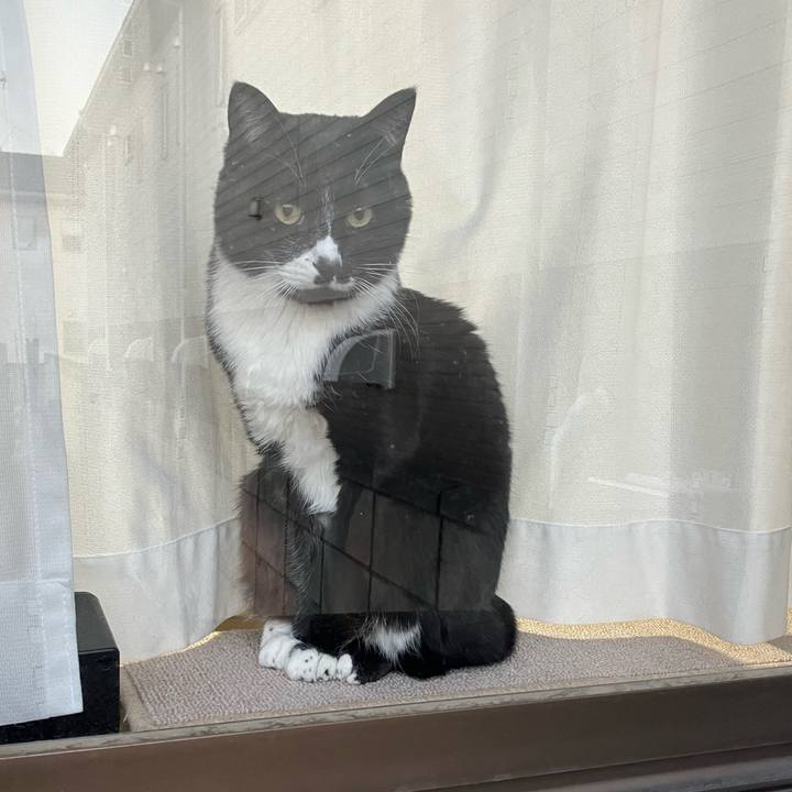 B6fa7a60 a2c1 4c00 91c9 1fa0093f3680 1709610107886