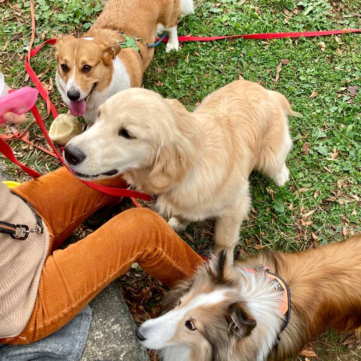 B6faad2f 6382 478e 925f cc7b3286a58c 1700093277352