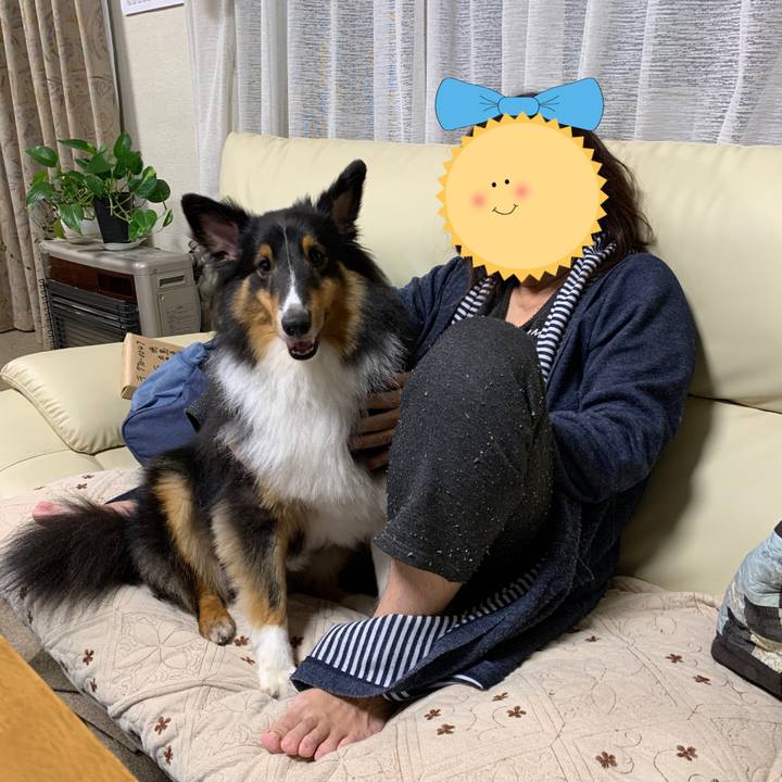 B6fad091 832e 4cde 88ea 5962fcb170f7 1601245483263