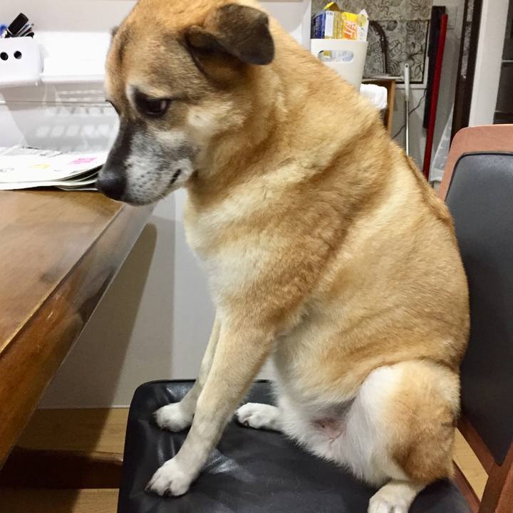 B6fae917 f19f 4f07 b0a4 b62dd51cf465 1571048496872