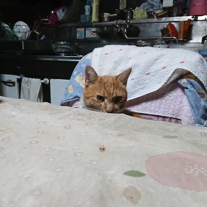 B6faf347 ad16 4d09 85e9 83c890c1ba61 1605299192689