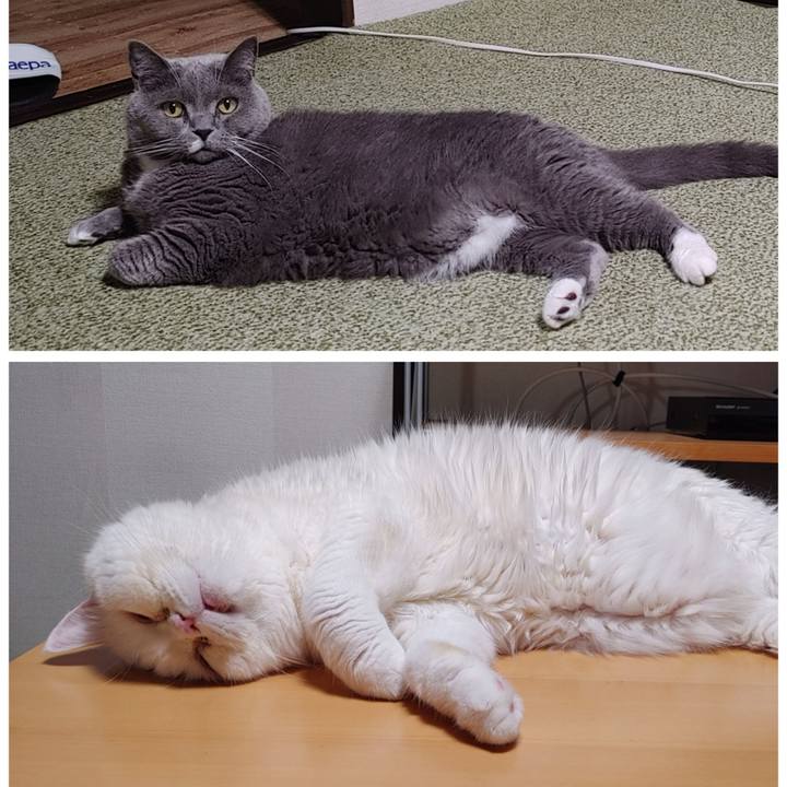 B6fb1603 4f38 4507 a699 9cd30fd8a153 1721303498999