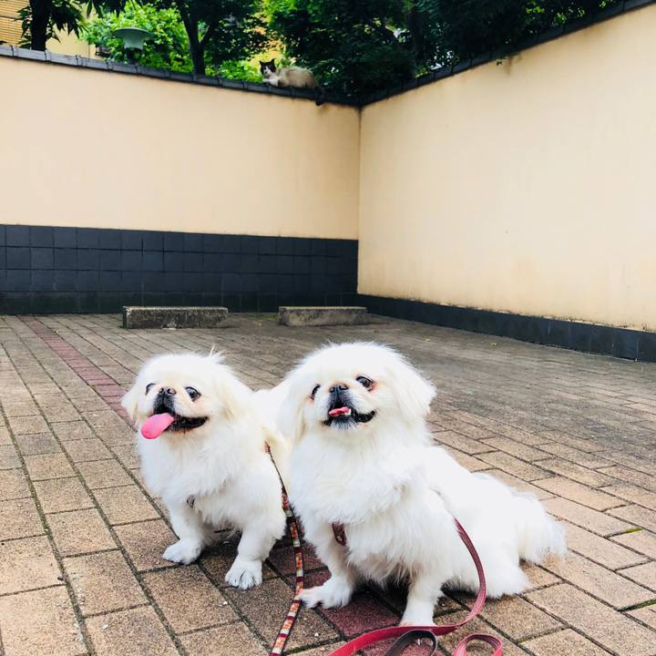 B6fb2d29 e549 4f9f 9875 2745813cfa3a 1592269376802